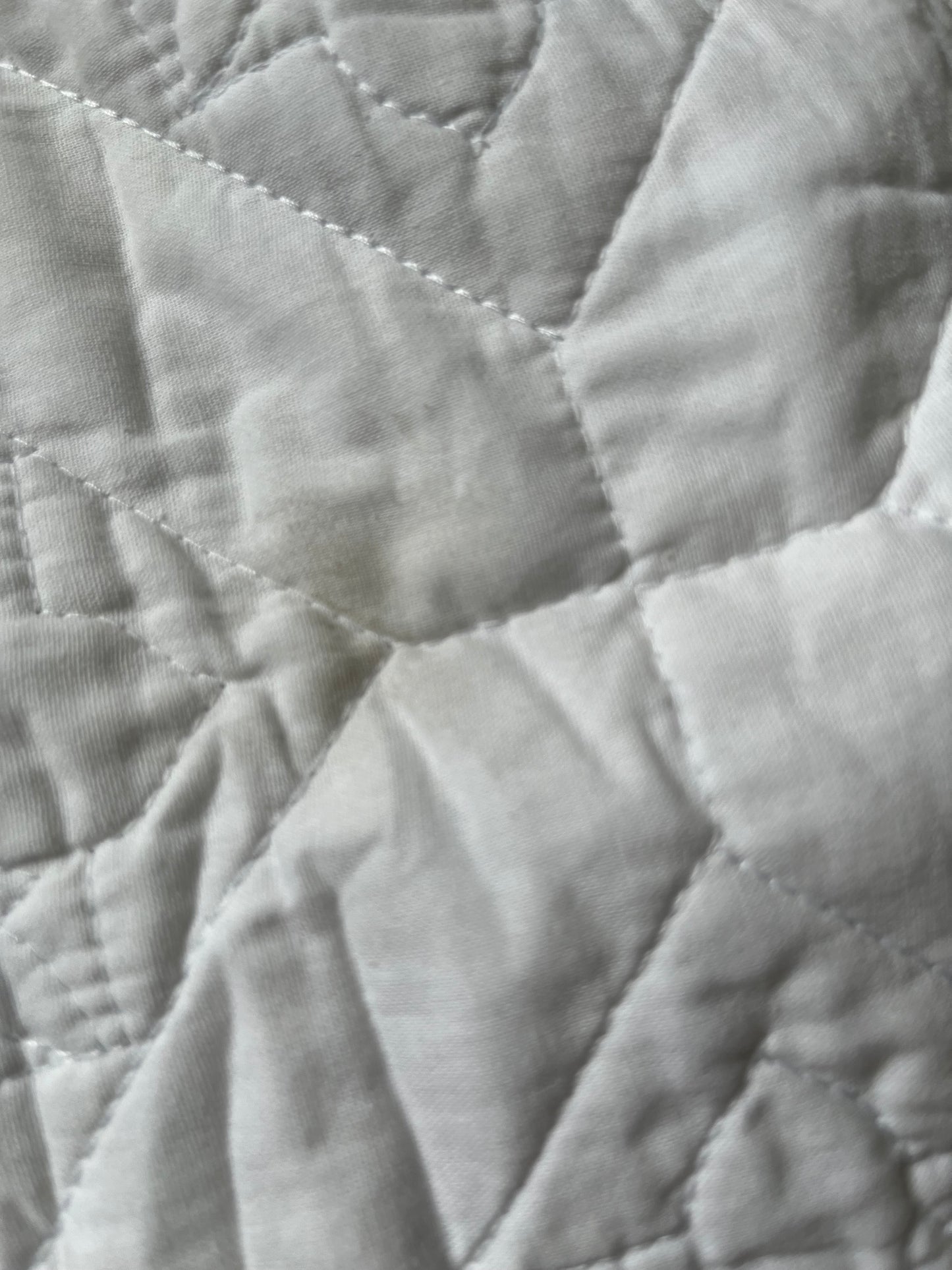 Threshold Standard Embroidered Cotton Pillow Sham, New