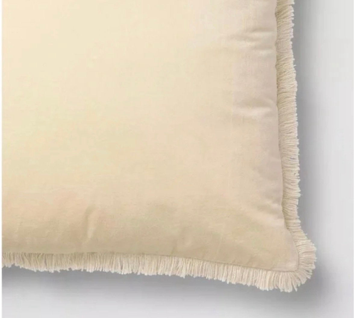 Threshold 24”x24” Oversized Velvet Fringe Throw Pillow Set, New