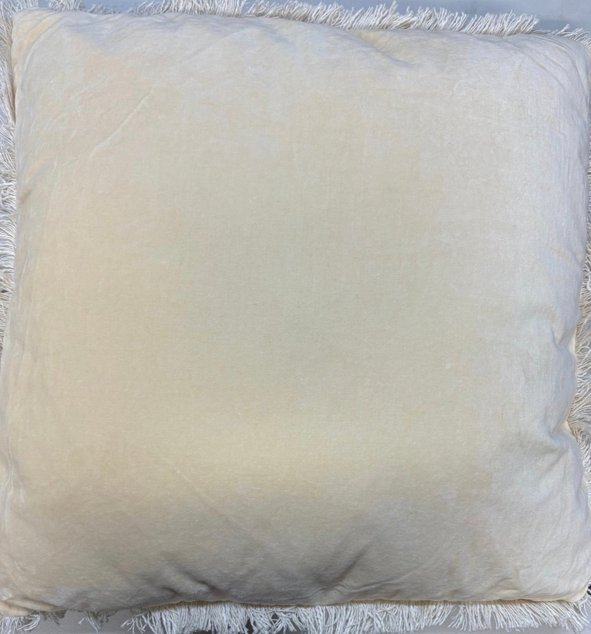 Threshold 24”x24” Oversized Velvet Fringe Throw Pillow Set, New