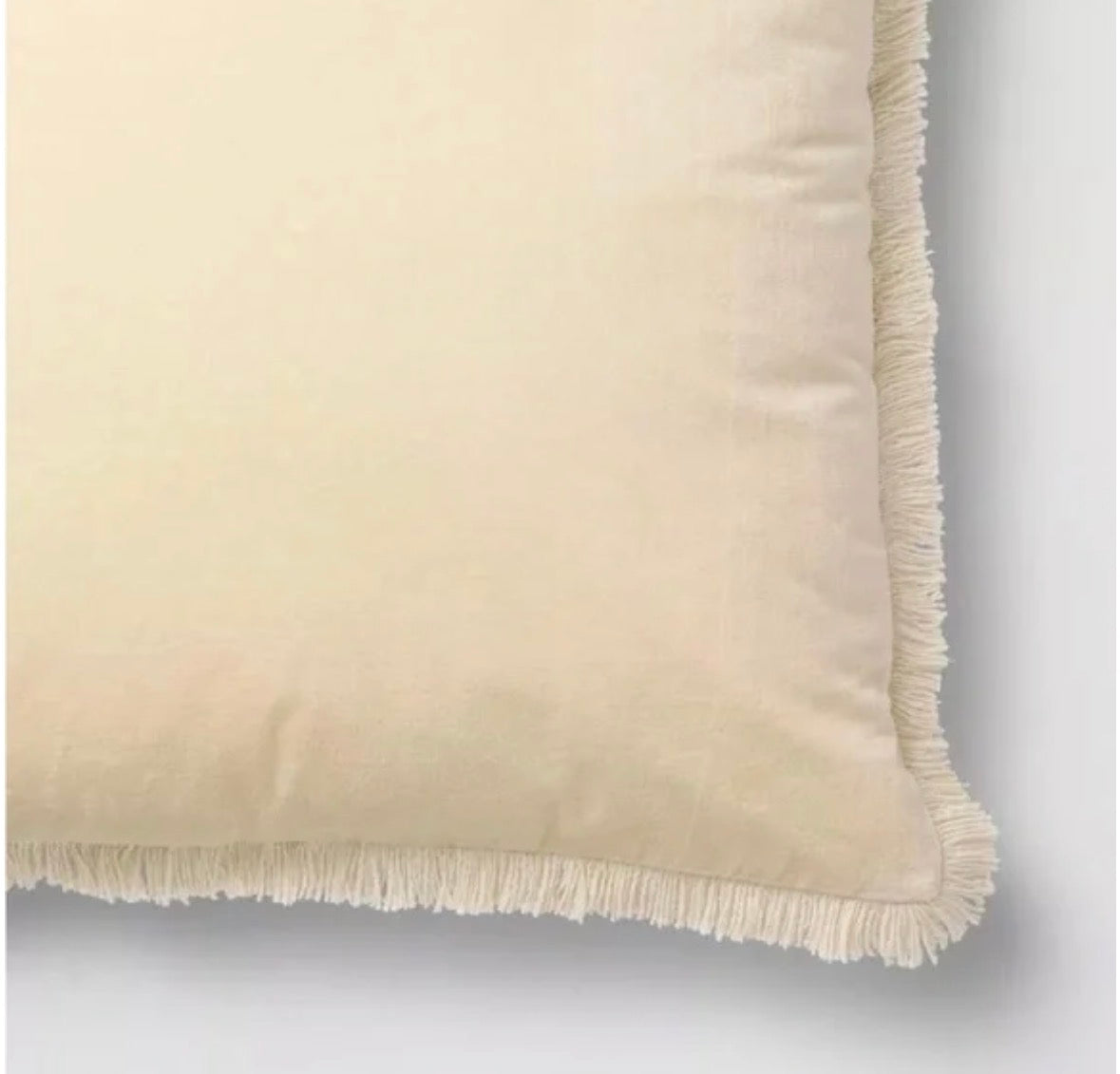 Threshold 24”x24” Oversized Velvet Fringe Throw Pillow Set, New