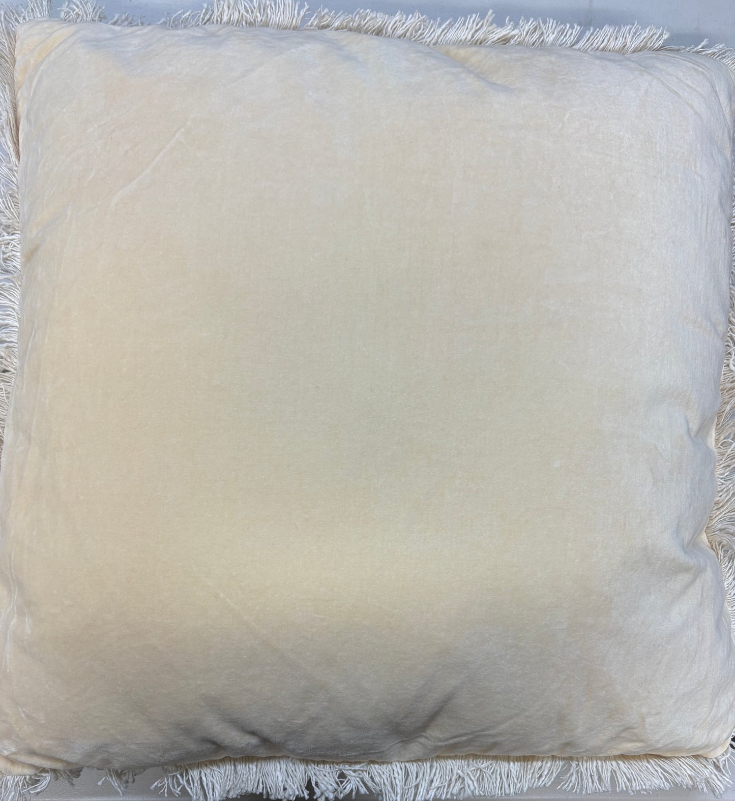 Threshold 24”x24” Oversized Velvet Fringe Throw Pillow Set, New